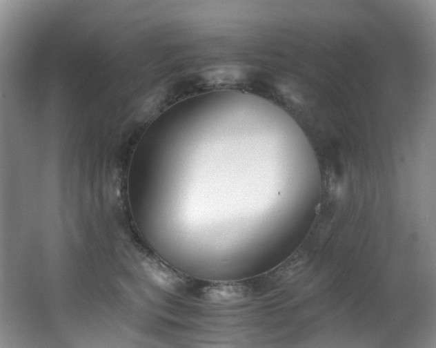 X0000062800567200512221407