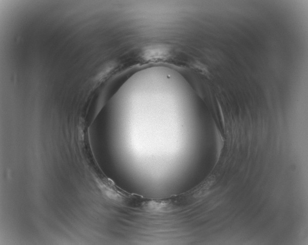 X0000062800570200512221407