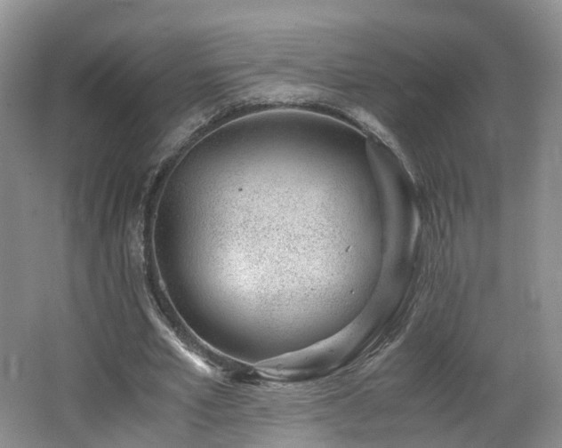 X0000062800581200512221406