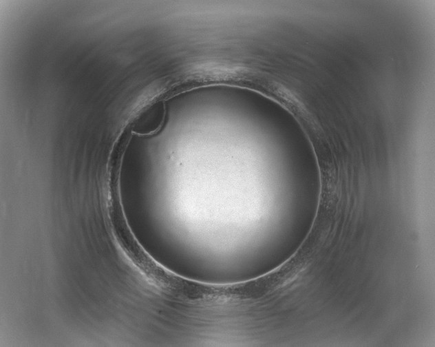 X0000062800582200512221406