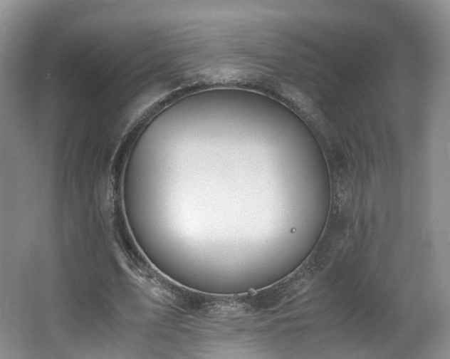 X0000062800583200512221406