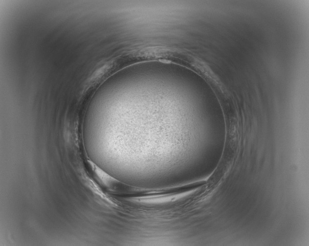 X0000062800585200512221406