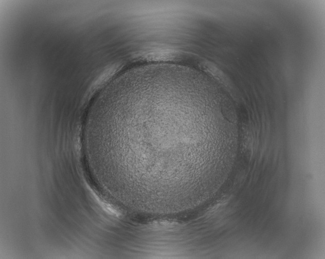 X0000062800586200512221406