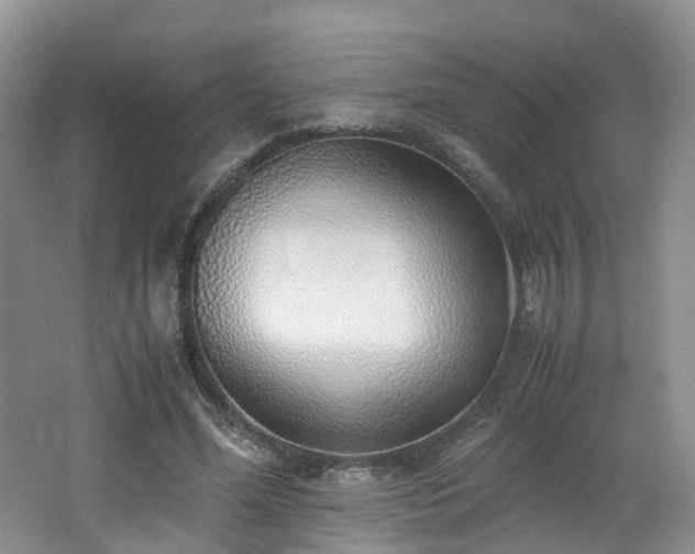 X0000062800588200512221406