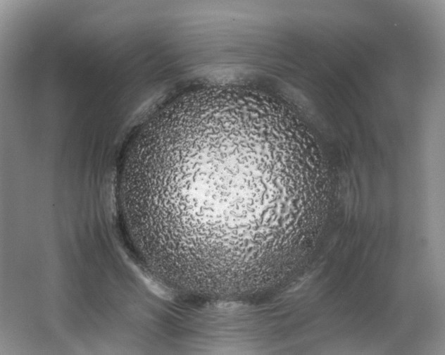 X0000062800590200512221406