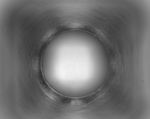 X0000062800591200512221406