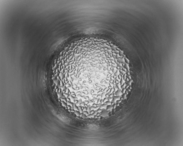 X0000062800592200512221406