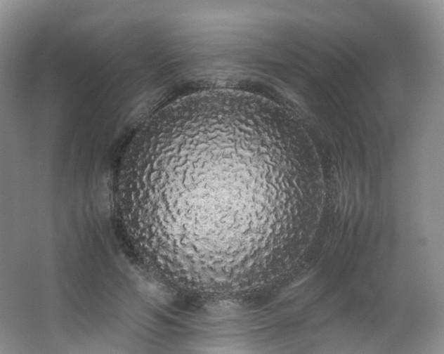 X0000062800594200512221406
