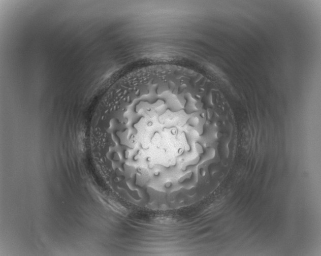 X0000062800596200512221406