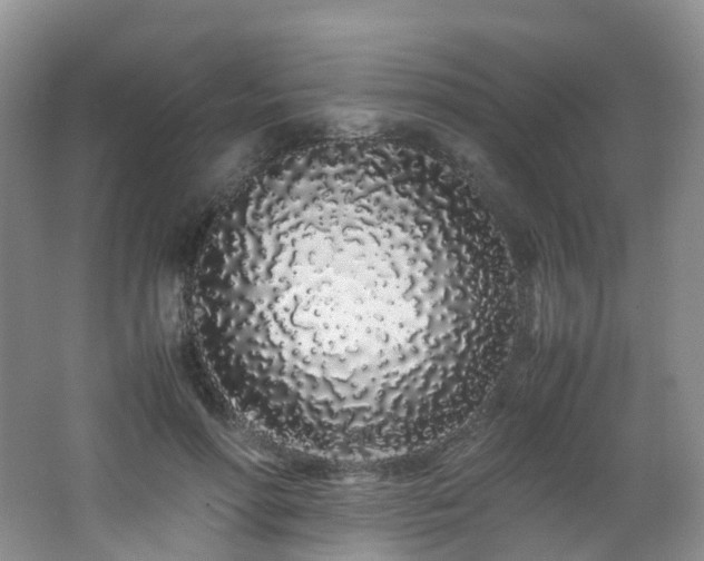 X0000062800598200512221406