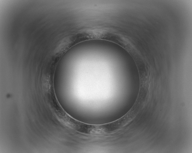 X0000062800599200512221406