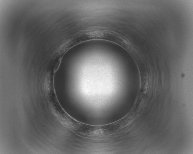 X0000062800600200512221406