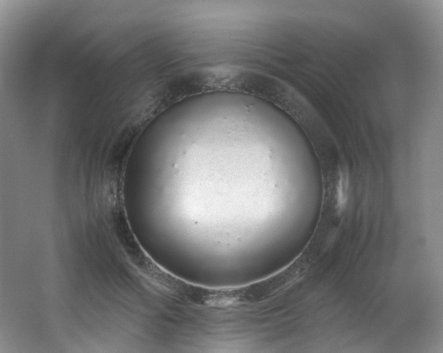X0000062800602200512221406