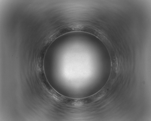 X0000062800604200512221406