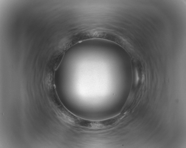 X0000062800605200512221406