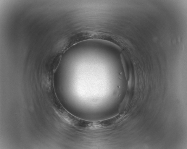 X0000062800607200512221406