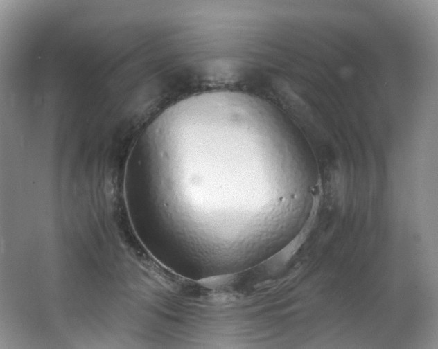 X0000062800608200512221406