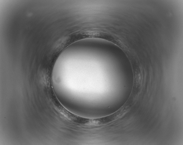 X0000062800609200512221406