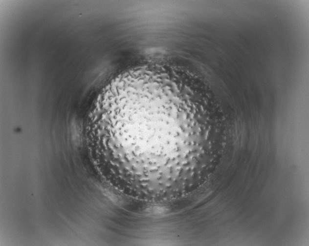 X0000062800610200512221406