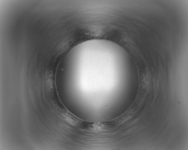 X0000062800612200512221406