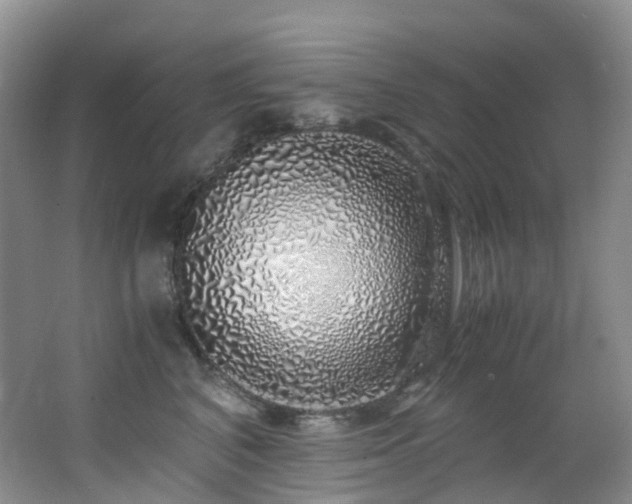 X0000062800616200512221406