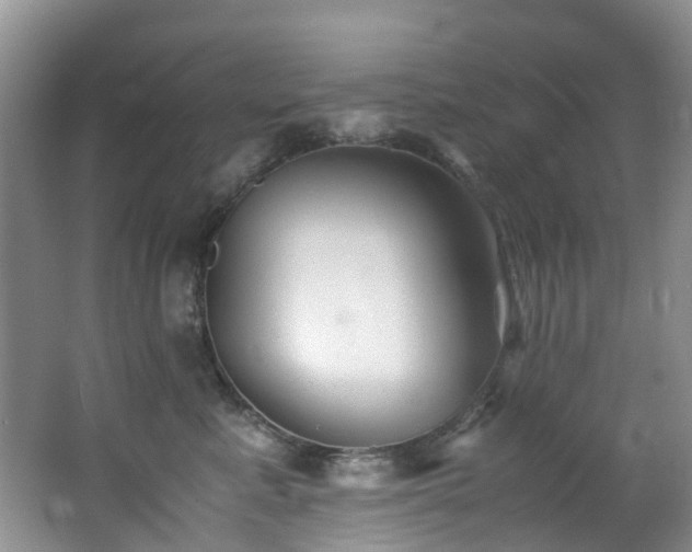 X0000062800619200512221406
