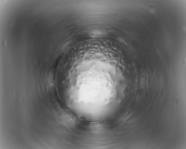 X0000062800620200512221406