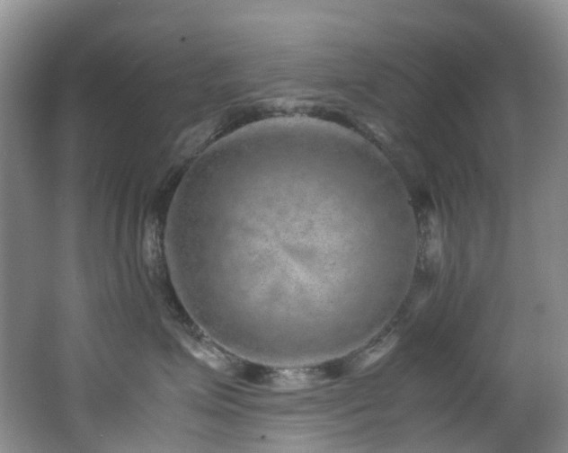 X0000062800623200512221406