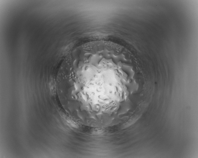 X0000062800624200512221406