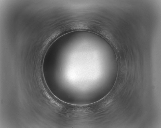 X0000062800625200512221405