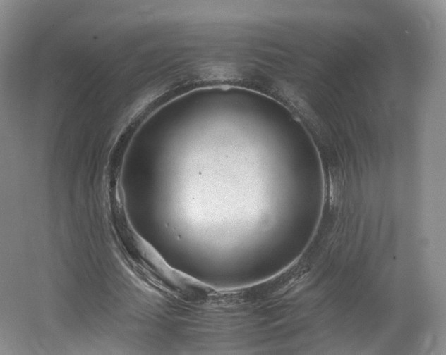 X0000062800627200512221405