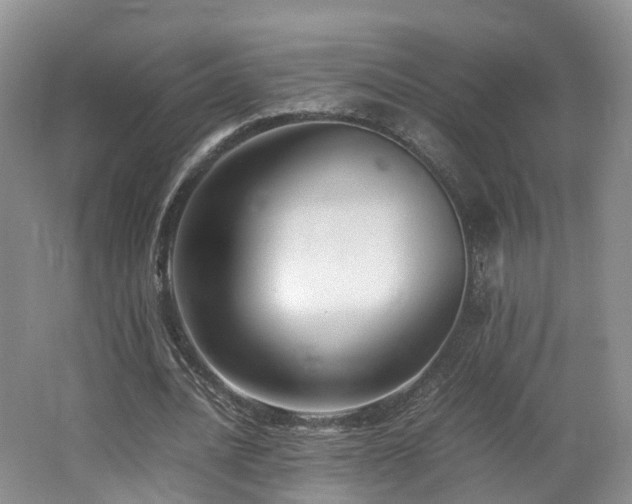 X0000062800628200512221405
