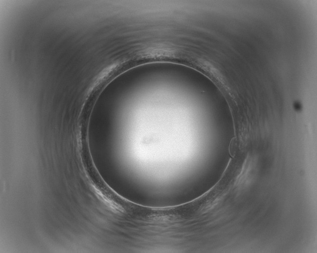 X0000062800629200512221405
