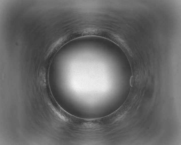 X0000062800633200512221405