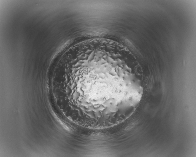X0000062800634200512221405