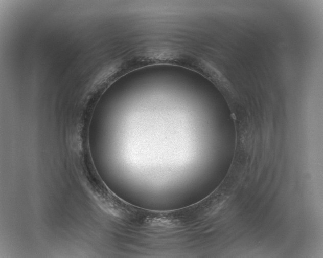 X0000062800635200512221405