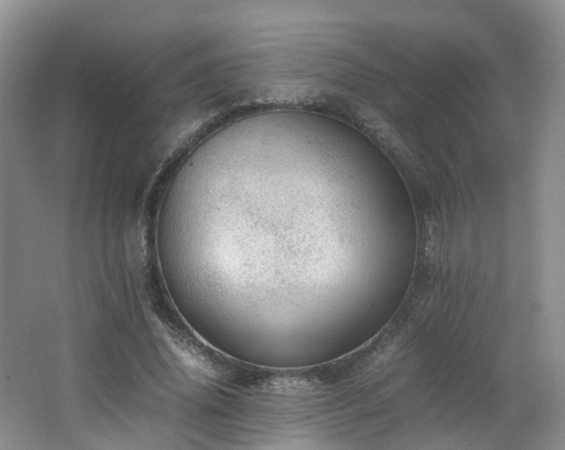 X0000062800636200512221405
