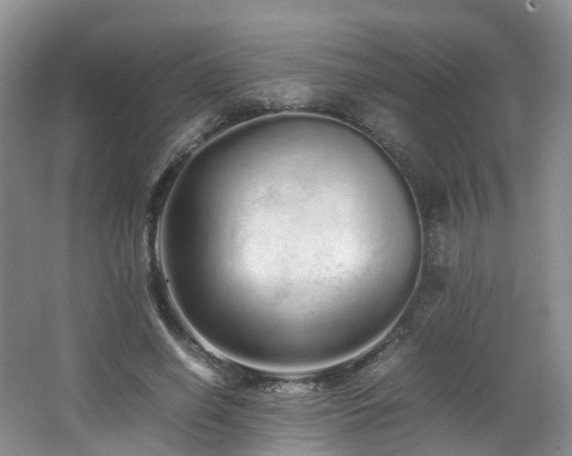 X0000062800638200512221405