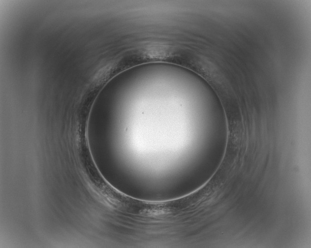 X0000062800639200512221405