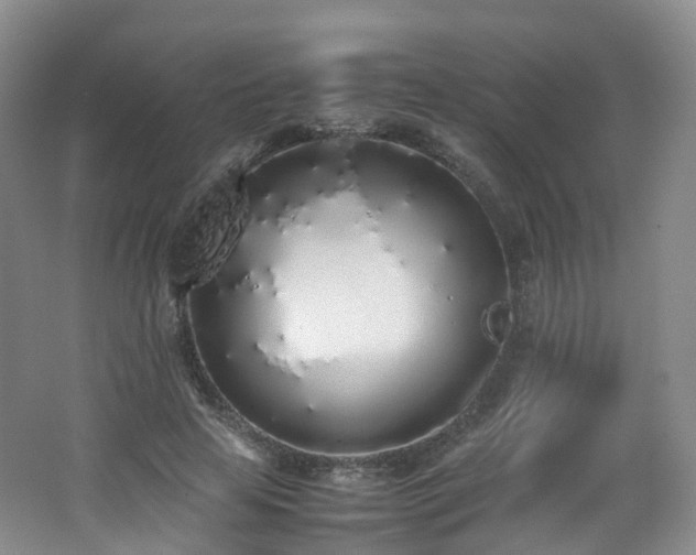 X0000062800641200512221405