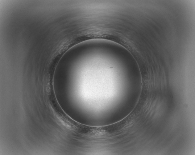 X0000062800642200512221405