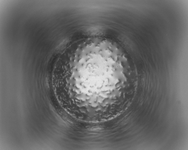 X0000062800643200512221405