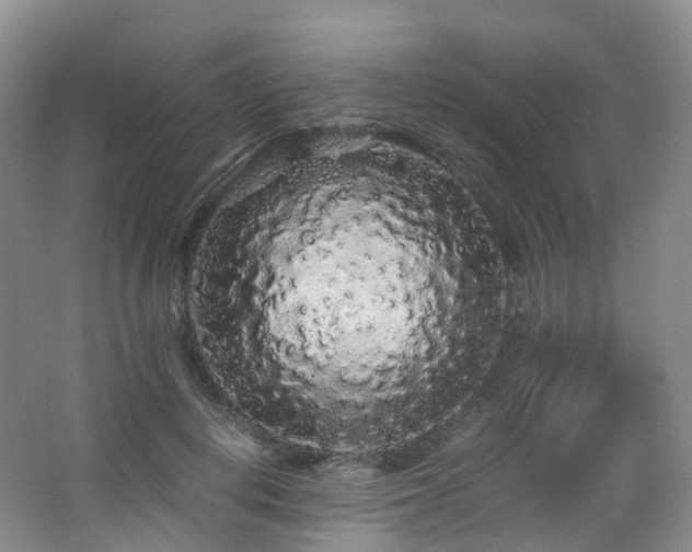 X0000062800648200512221405