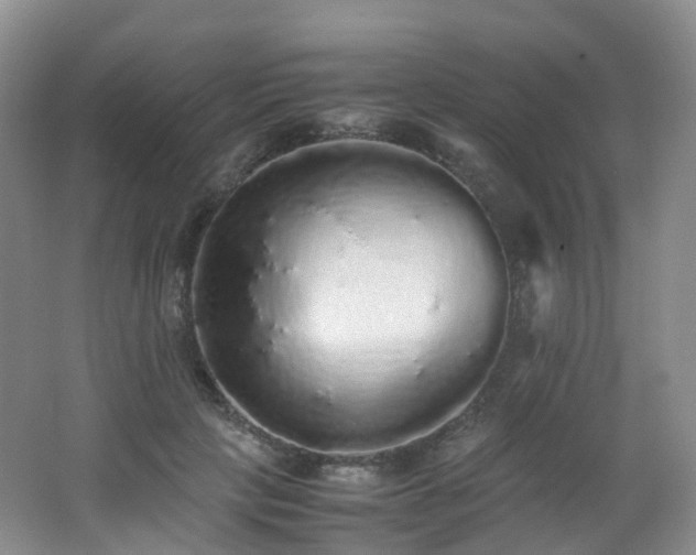 X0000062800649200512221405