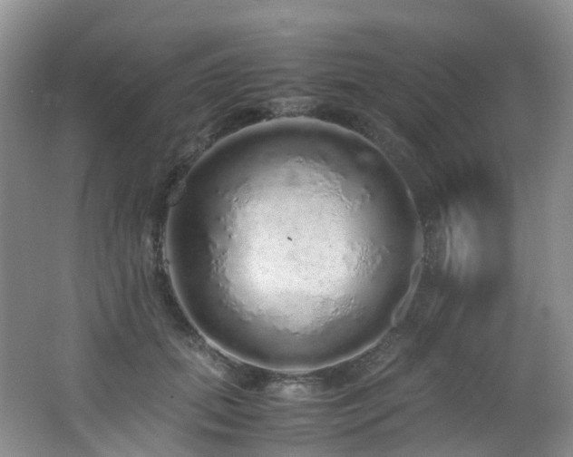 X0000062800655200512221405