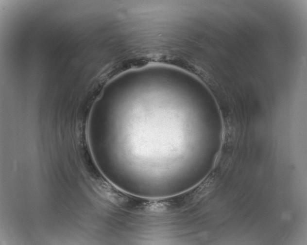 X0000062800656200512221405