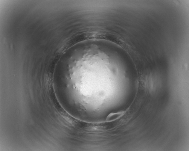 X0000062800657200512221405