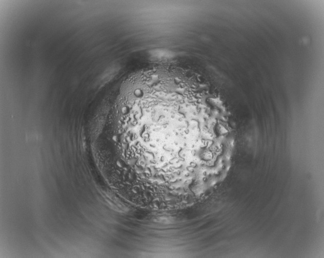 X0000062800658200512221405