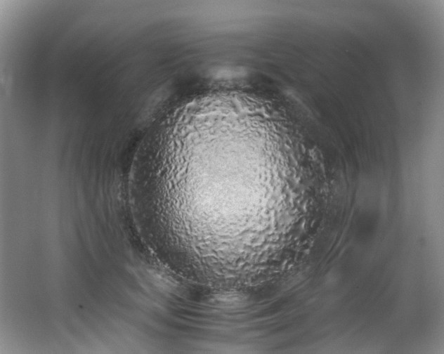 X0000062800659200512221405