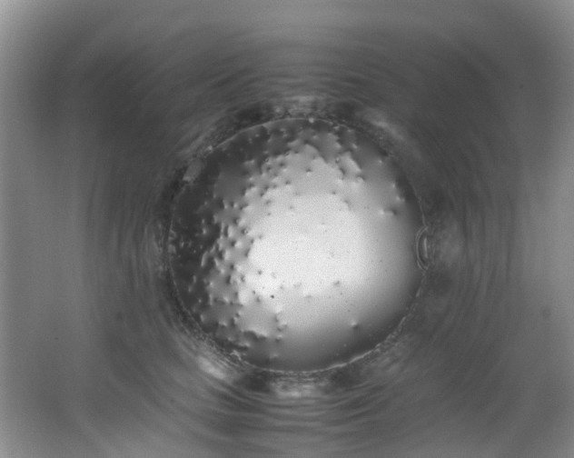 X0000062800661200512221406